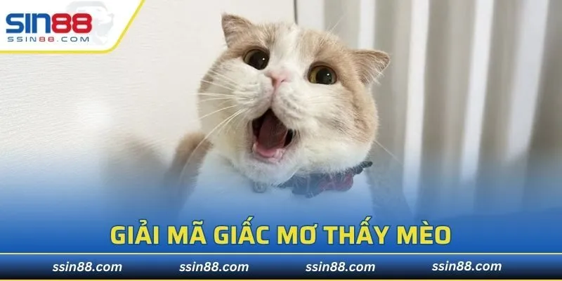 Giải Mã Giấc Mơ Thấy Mèo