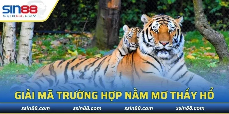 Gợi ý nhanh những lời giải mã chính xác và chi tiết