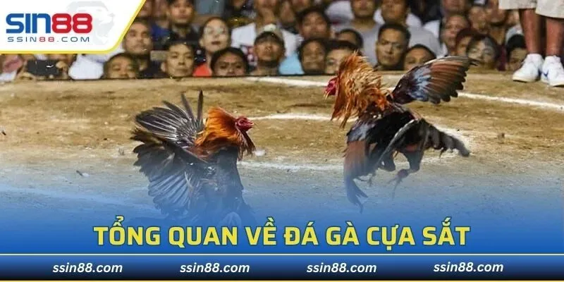 Những trận đấu vô cùng hứa hẹn đầy bất ngờ