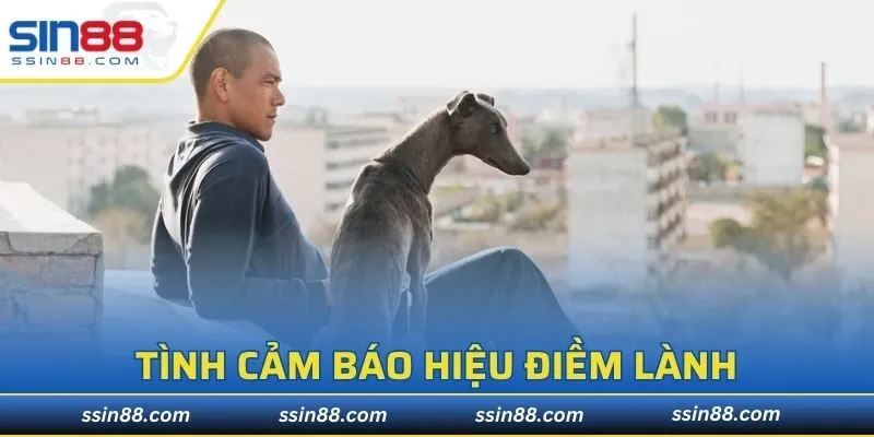 Tình cảm giữa người và động vật báo hiệu điềm lành