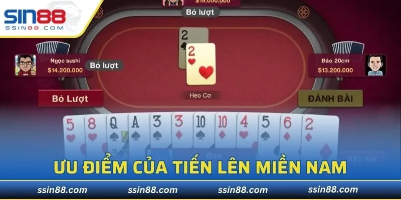 Tổng hợp những điều thú vị